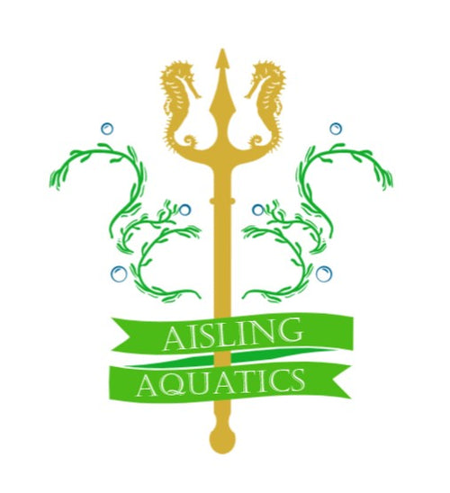 Aisling Aquatics 